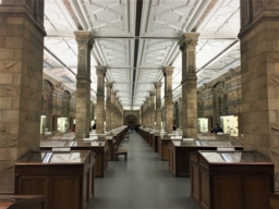 museum, display cases, columns